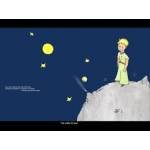 The Little Prince BOOK